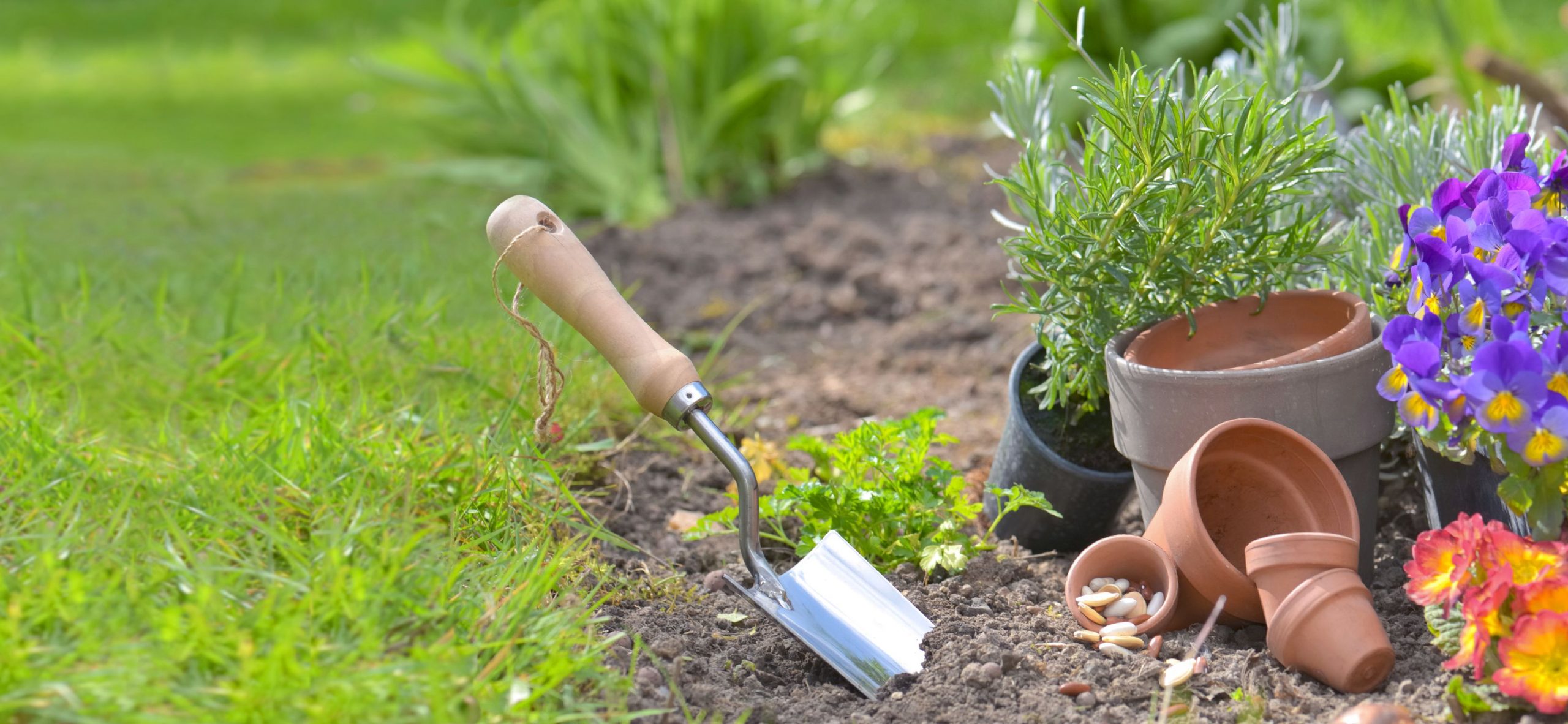 Quadrante Simétrico - Construção e Remodelação e Jardinagem / Jardim